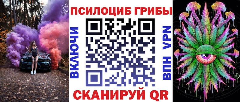 купить наркотик  Болхов  Псилоцибиновые грибы ЛСД 